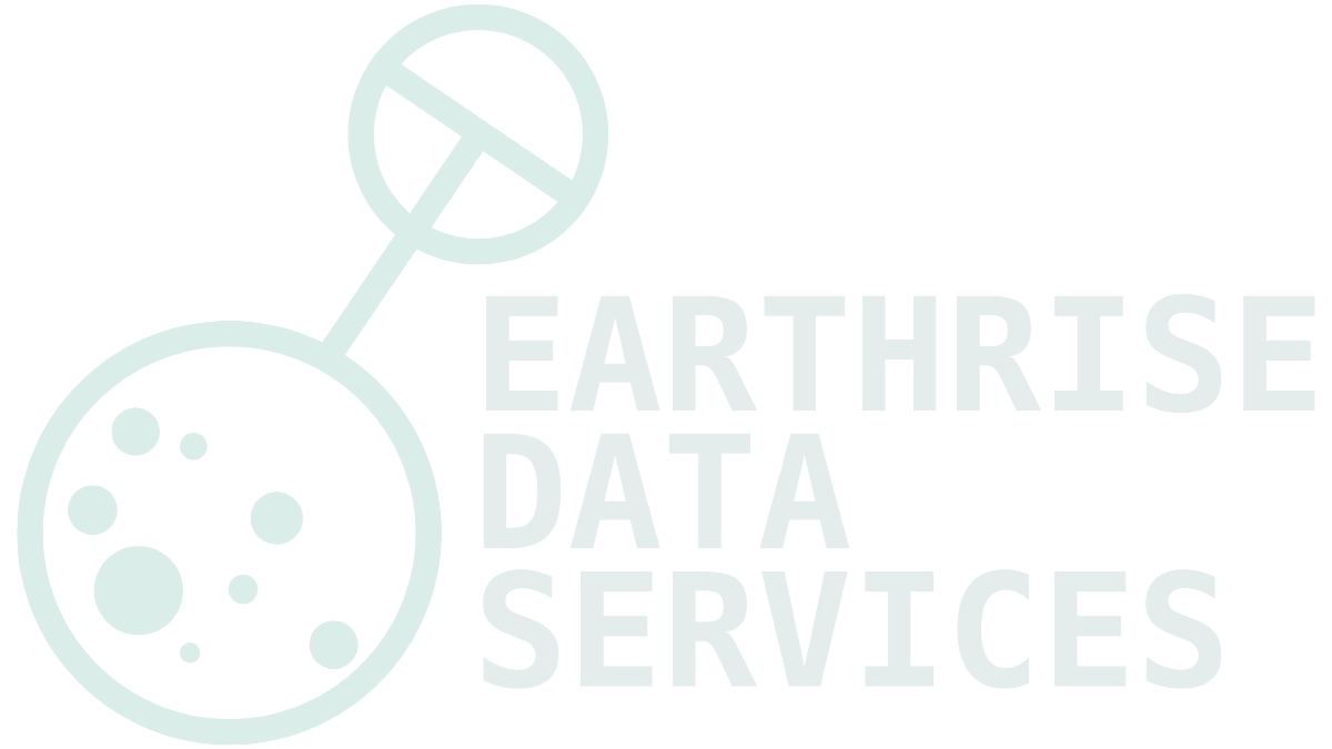 Earthrise Data Services Logo